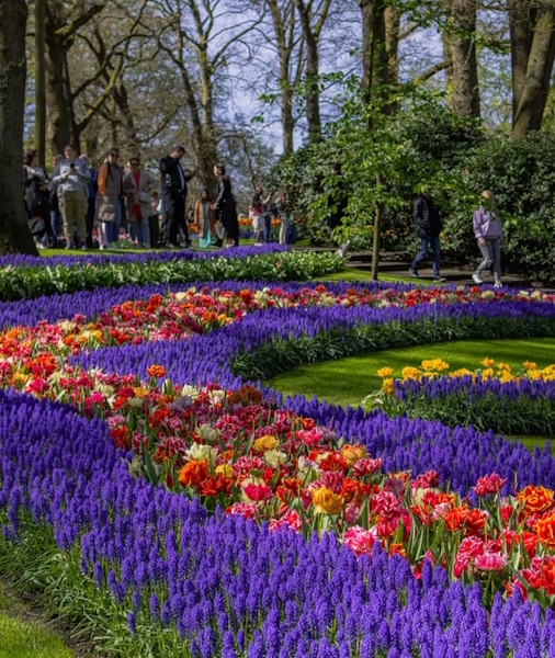 keukenhof bi̇leti̇ ()